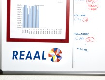 SNS REAAL - PDCA Visualisatie