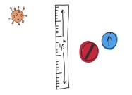 Vloersticker Strook (1,5 meter) - EXACT Juiste formaat