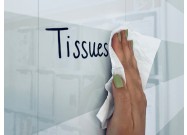 Whiteboard tissues