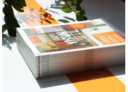 Magazine - Visual Management (Let's get VISUAL!)