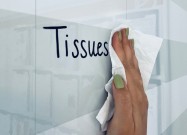 Whiteboard tissues